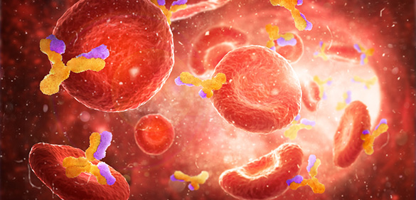 Food allergy immunoglobulin IgE antibody